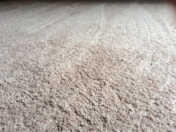 Plush Carpet Installation in Ballwin